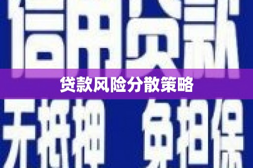 应县贷款风险分散策略
