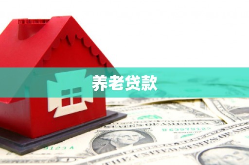 应县养老贷款