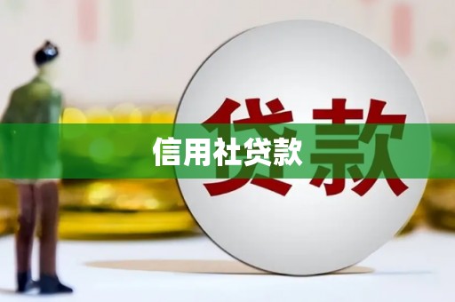 应县信用社贷款