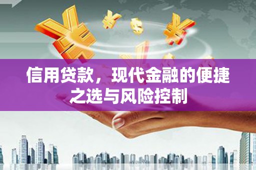 应县信用贷款，现代金融的便捷之选与风险控制