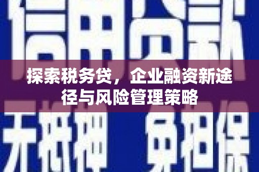 应县探索税务贷，企业融资新途径与风险管理策略