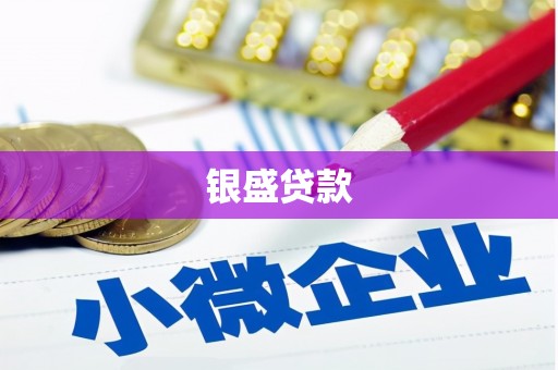 应县银盛贷款
