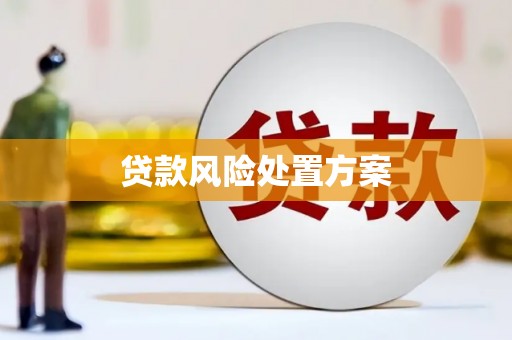 应县贷款风险处置方案