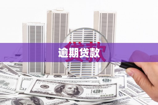 应县逾期贷款