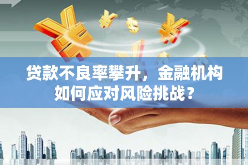 应县贷款不良率攀升，金融机构如何应对风险挑战？