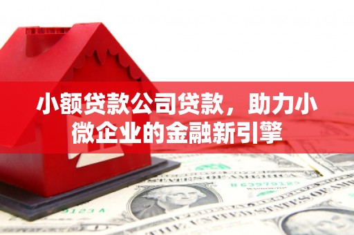 应县小额贷款公司贷款，助力小微企业的金融新引擎