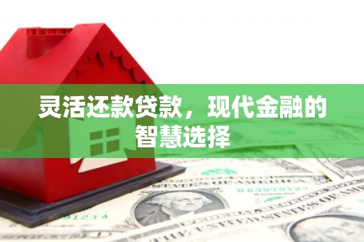 应县灵活还款贷款，现代金融的智慧选择