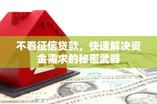 应县不看征信贷款，快速解决资金需求的秘密武器