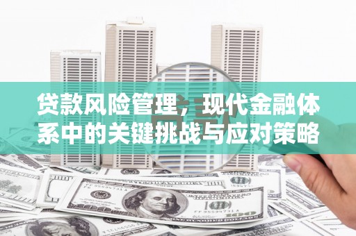 应县贷款风险管理，现代金融体系中的关键挑战与应对策略