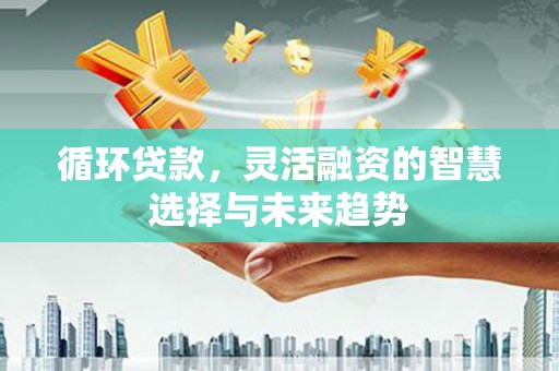 应县循环贷款，灵活融资的智慧选择与未来趋势