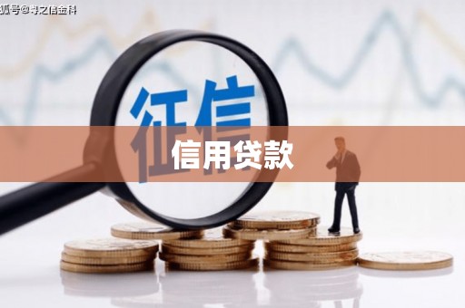 应县信用贷款