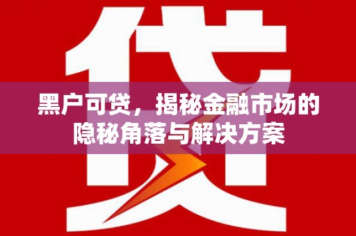 应县黑户可贷，揭秘金融市场的隐秘角落与解决方案
