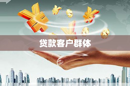 应县贷款客户群体