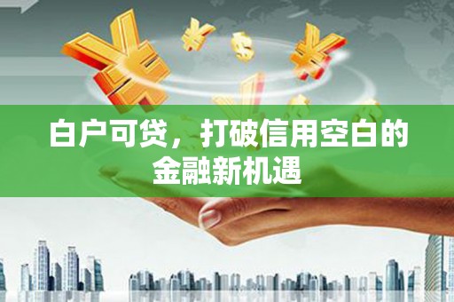 应县白户可贷，打破信用空白的金融新机遇