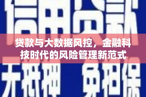 应县贷款与大数据风控，金融科技时代的风险管理新范式