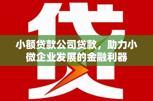 应县小额贷款公司贷款，助力小微企业发展的金融利器
