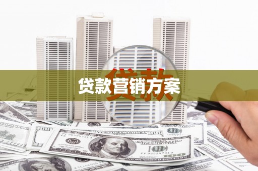 应县贷款营销方案