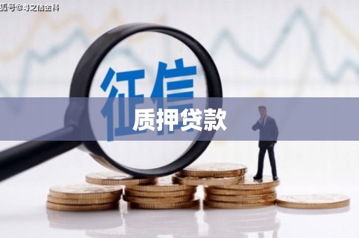 应县质押贷款