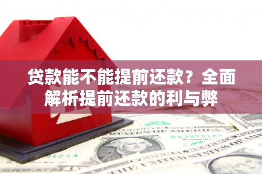 应县贷款能不能提前还款？全面解析提前还款的利与弊