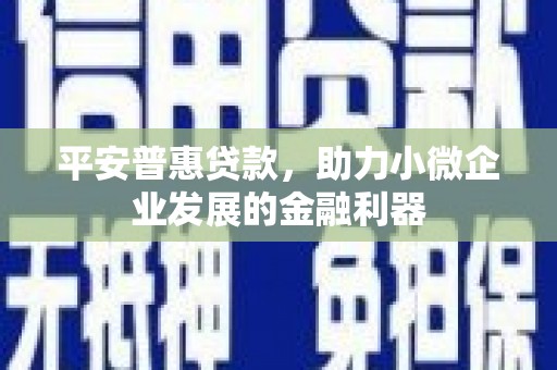 应县平安普惠贷款，助力小微企业发展的金融利器