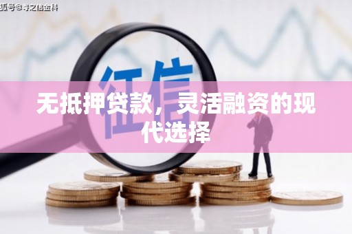 应县无抵押贷款，灵活融资的现代选择