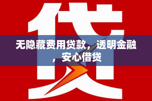 应县无隐藏费用贷款，透明金融，安心借贷