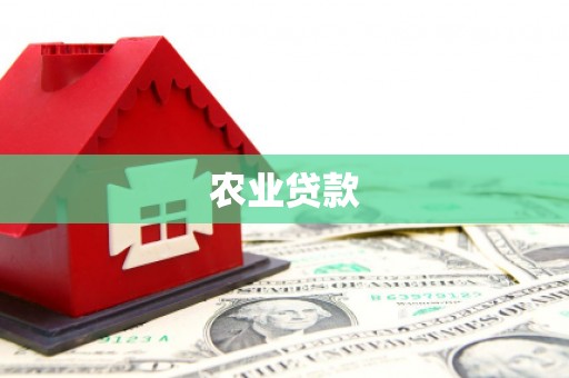 应县农业贷款