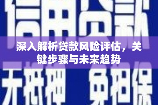 应县深入解析贷款风险评估，关键步骤与未来趋势