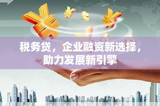 应县税务贷，企业融资新选择，助力发展新引擎