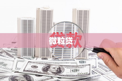 应县微粒贷