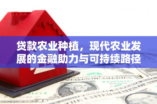 应县贷款农业种植，现代农业发展的金融助力与可持续路径