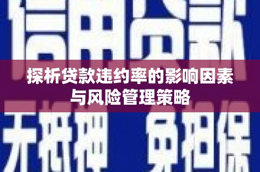 应县探析贷款违约率的影响因素与风险管理策略