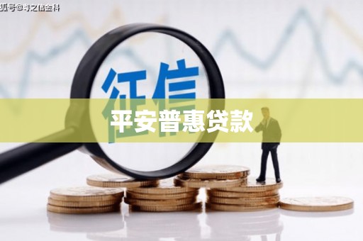 应县平安普惠贷款