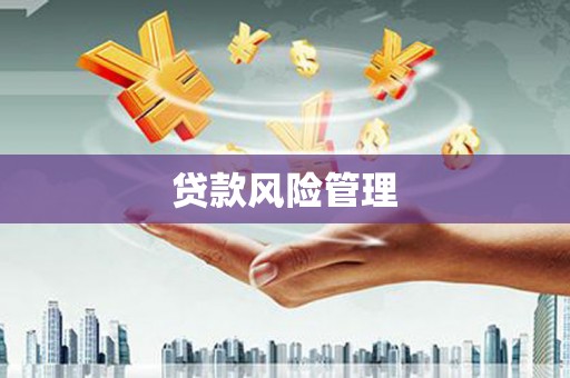 应县贷款风险管理