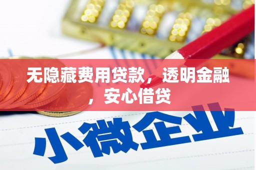 应县无隐藏费用贷款，透明金融，安心借贷