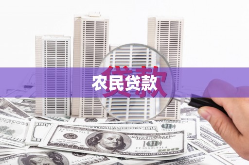 应县农民贷款