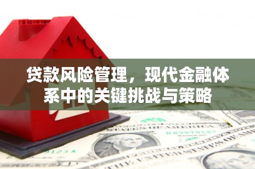 应县贷款风险管理，现代金融体系中的关键挑战与策略