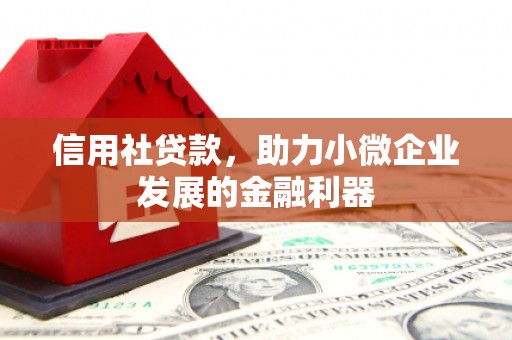 应县信用社贷款，助力小微企业发展的金融利器