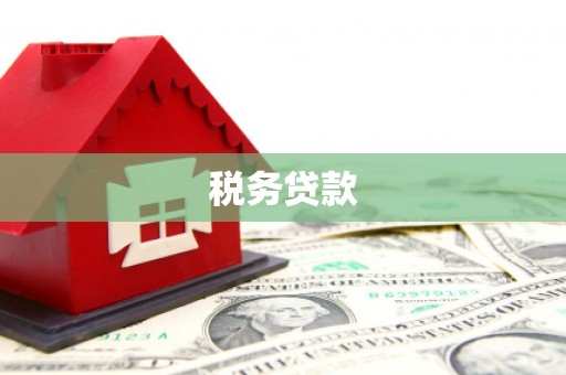 应县税务贷款