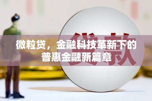 应县微粒贷，金融科技革新下的普惠金融新篇章