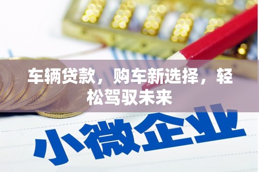 应县车辆贷款，购车新选择，轻松驾驭未来