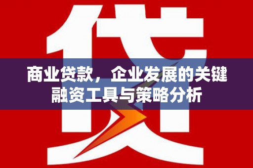 应县商业贷款，企业发展的关键融资工具与策略分析