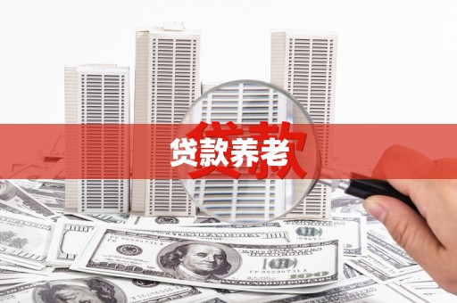应县贷款养老