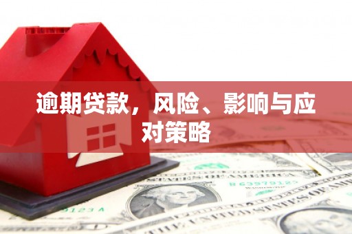 应县逾期贷款，风险、影响与应对策略