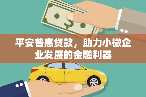 应县平安普惠贷款，助力小微企业发展的金融利器