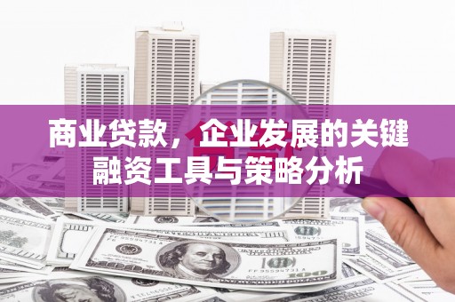 应县商业贷款，企业发展的关键融资工具与策略分析