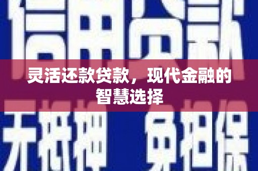 应县灵活还款贷款，现代金融的智慧选择
