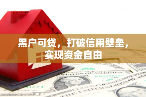 应县黑户可贷，打破信用壁垒，实现资金自由