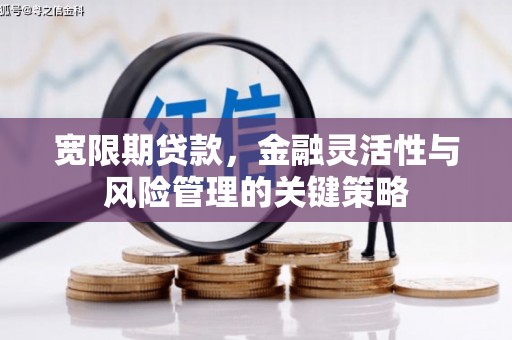 应县宽限期贷款，金融灵活性与风险管理的关键策略