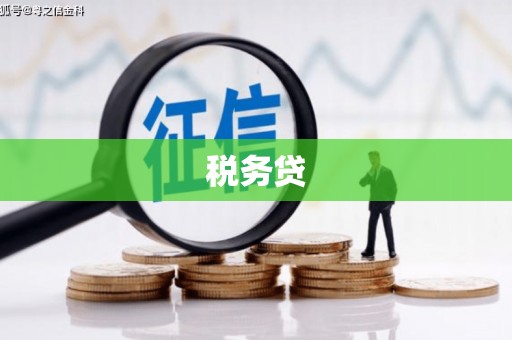 应县税务贷